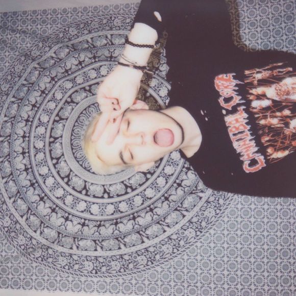 Meet your Posher, Dylan - Picture 1 of 1